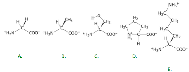 proshivka-amino-a140
