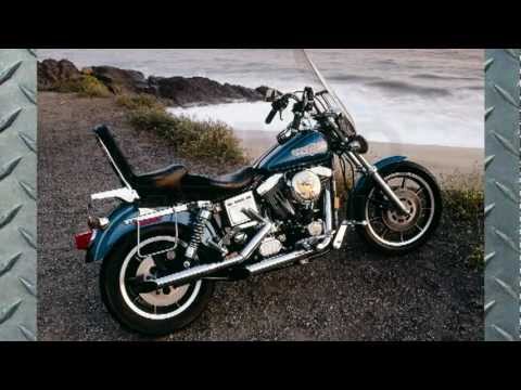 1998 Harley Softail Manual